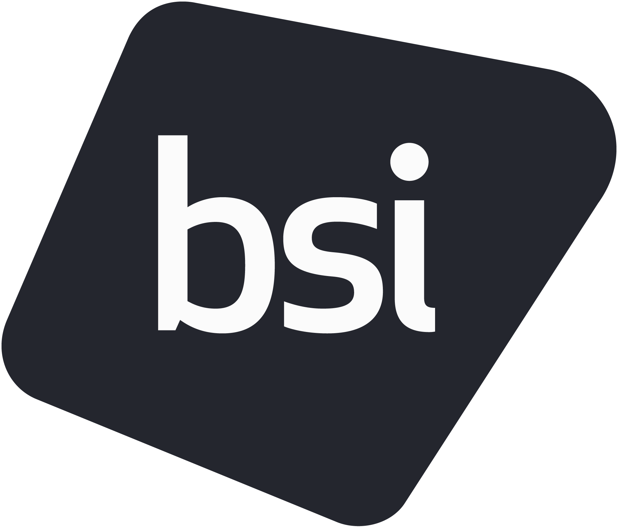BSI British Standards Institution